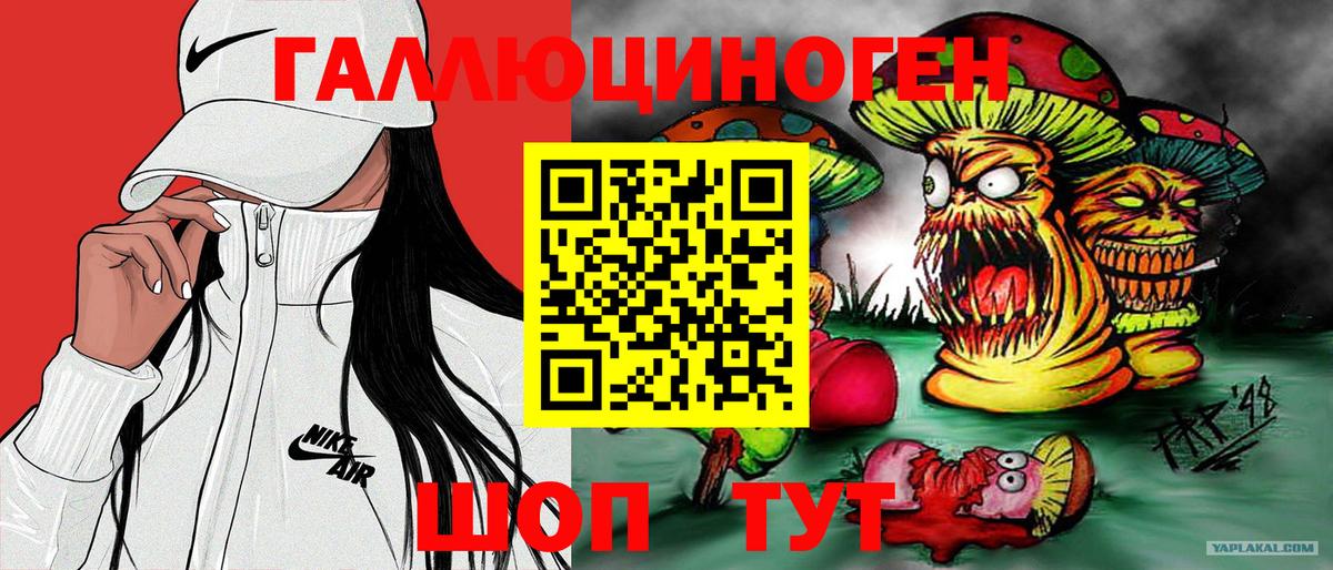 Псилоцибиновые грибы Psilocybe Белая Калитва