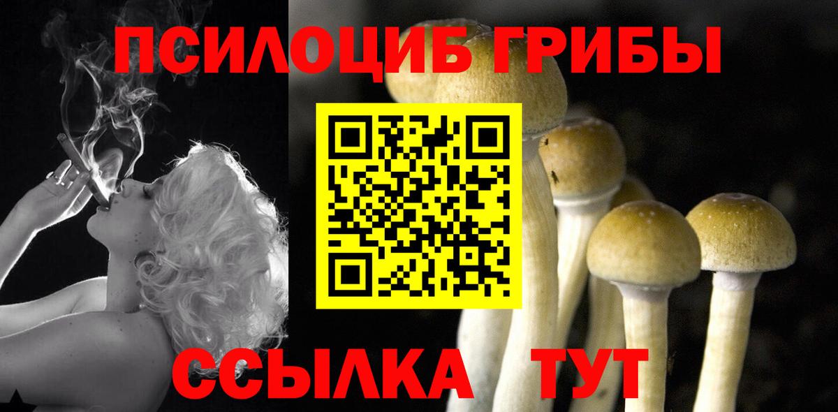 Псилоцибиновые грибы Psilocybine cubensis  наркотики  Белая Калитва  Вход с VPN 